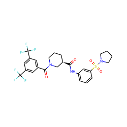 O=C(Nc1cccc(S(=O)(=O)N2CCCC2)c1)[C@@H]1CCCN(C(=O)c2cc(C(F)(F)F)cc(C(F)(F)F)c2)C1 ZINC000096272114