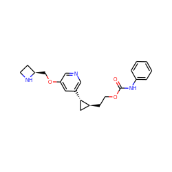 O=C(Nc1ccccc1)OCC[C@H]1C[C@@H]1c1cncc(OC[C@@H]2CCN2)c1 ZINC000084615529