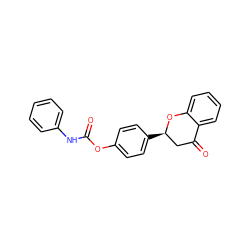 O=C(Nc1ccccc1)Oc1ccc([C@@H]2CC(=O)c3ccccc3O2)cc1 ZINC000098082363