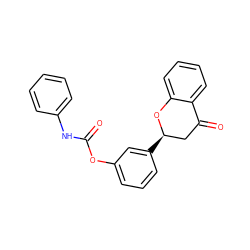 O=C(Nc1ccccc1)Oc1cccc([C@@H]2CC(=O)c3ccccc3O2)c1 ZINC000098082361