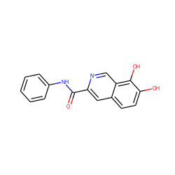 O=C(Nc1ccccc1)c1cc2ccc(O)c(O)c2cn1 ZINC000006575438