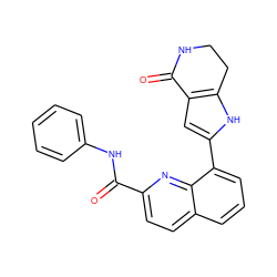 O=C(Nc1ccccc1)c1ccc2cccc(-c3cc4c([nH]3)CCNC4=O)c2n1 ZINC000222334492