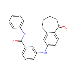 O=C(Nc1ccccc1)c1cccc(Nc2ccc3c(c2)CCCCC3=O)c1 ZINC000095579886