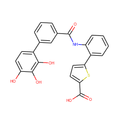 O=C(Nc1ccccc1-c1ccc(C(=O)O)s1)c1cccc(-c2ccc(O)c(O)c2O)c1 ZINC000036242753