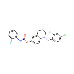 O=C(Nc1ccccc1F)Oc1ccc2c(c1)CCCN2Cc1ccc(Cl)cc1Cl ZINC000095573708