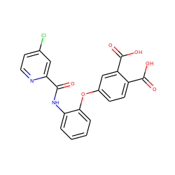 O=C(Nc1ccccc1Oc1ccc(C(=O)O)c(C(=O)O)c1)c1cc(Cl)ccn1 ZINC000013587604