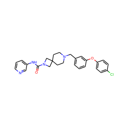 O=C(Nc1cccnc1)N1CC2(CCN(Cc3cccc(Oc4ccc(Cl)cc4)c3)CC2)C1 ZINC000103260731