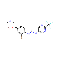 O=C(Nc1cnc(C(F)(F)F)nc1)Nc1ccc([C@@H]2CNCCO2)cc1Br ZINC000149960316