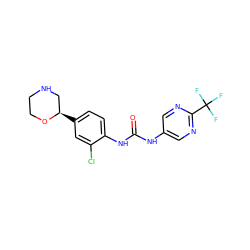 O=C(Nc1cnc(C(F)(F)F)nc1)Nc1ccc([C@@H]2CNCCO2)cc1Cl ZINC000149846524