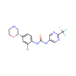 O=C(Nc1cnc(C(F)(F)F)nc1)Nc1ccc([C@H]2CNCCO2)cc1Br ZINC000149960040