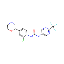 O=C(Nc1cnc(C(F)(F)F)nc1)Nc1ccc([C@H]2CNCCO2)cc1Cl ZINC000149846739