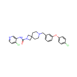 O=C(Nc1cnccc1Cl)N1CC2(CCN(Cc3cccc(Oc4ccc(Cl)cc4)c3)CC2)C1 ZINC000103260692