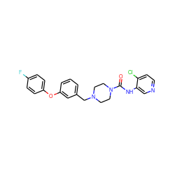 O=C(Nc1cnccc1Cl)N1CCN(Cc2cccc(Oc3ccc(F)cc3)c2)CC1 ZINC000653821688