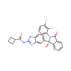 O=C(Nc1nc2cc([C@]3(O)c4ccccc4C(=O)N3c3cccc(Cl)c3F)ccc2[nH]1)C1CCC1 ZINC000116256295