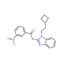 O=C(Nc1nc2ccccc2n1CCC1CCC1)c1cccc([N+](=O)[O-])c1 ZINC000036184956