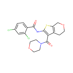 O=C(Nc1sc2c(c1C(=O)N1CCOCC1)CCOC2)c1ccc(Cl)cc1Cl ZINC000095563515