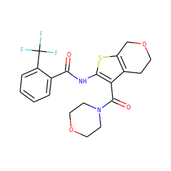 O=C(Nc1sc2c(c1C(=O)N1CCOCC1)CCOC2)c1ccccc1C(F)(F)F ZINC000095562342