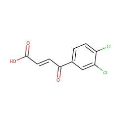 O=C(O)/C=C/C(=O)c1ccc(Cl)c(Cl)c1 ZINC000002383012