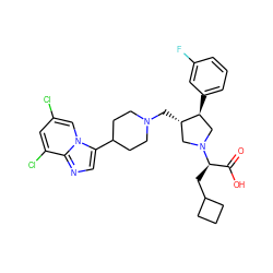 O=C(O)[C@@H](CC1CCC1)N1C[C@H](CN2CCC(c3cnc4c(Cl)cc(Cl)cn34)CC2)[C@@H](c2cccc(F)c2)C1 ZINC000028523906