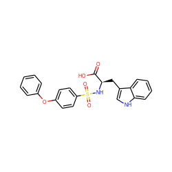 O=C(O)[C@@H](Cc1c[nH]c2ccccc12)NS(=O)(=O)c1ccc(Oc2ccccc2)cc1 ZINC000013778417