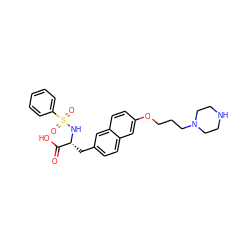 O=C(O)[C@@H](Cc1ccc2cc(OCCCN3CCNCC3)ccc2c1)NS(=O)(=O)c1ccccc1 ZINC001772590772