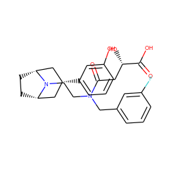 O=C(O)[C@@H](O)CC(=O)N(CCN1[C@H]2CC[C@@H]1C[C@H](c1cccc(O)c1)C2)Cc1cccc(F)c1 ZINC000166079197