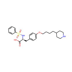 O=C(O)[C@H](Cc1ccc(OCCCCC2CCNCC2)cc1)NS(=O)(=O)c1ccccc1 ZINC000013738127