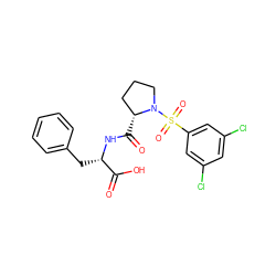 O=C(O)[C@H](Cc1ccccc1)NC(=O)[C@@H]1CCCN1S(=O)(=O)c1cc(Cl)cc(Cl)c1 ZINC000013438524