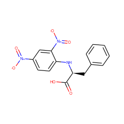 O=C(O)[C@H](Cc1ccccc1)Nc1ccc([N+](=O)[O-])cc1[N+](=O)[O-] ZINC000004517261