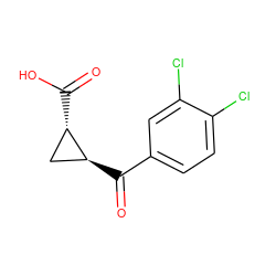 O=C(O)[C@H]1C[C@@H]1C(=O)c1ccc(Cl)c(Cl)c1 ZINC000033994919