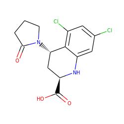 O=C(O)[C@H]1C[C@H](N2CCCC2=O)c2c(Cl)cc(Cl)cc2N1 ZINC000013455353