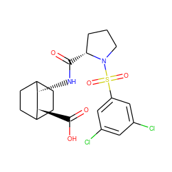 O=C(O)[C@H]1C2CCC(CC2)[C@@H]1NC(=O)[C@@H]1CCCN1S(=O)(=O)c1cc(Cl)cc(Cl)c1 ZINC000028817891