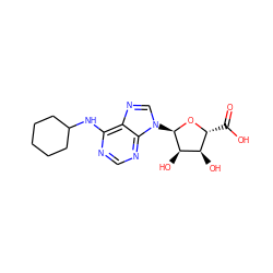 O=C(O)[C@H]1O[C@H](n2cnc3c(NC4CCCCC4)ncnc32)[C@H](O)[C@@H]1O ZINC000029406474