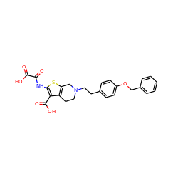 O=C(O)C(=O)Nc1sc2c(c1C(=O)O)CCN(CCc1ccc(OCc3ccccc3)cc1)C2 ZINC000013491487