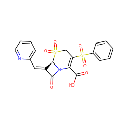 O=C(O)C1=C(S(=O)(=O)c2ccccc2)CS(=O)(=O)[C@@H]2/C(=C\c3ccccn3)C(=O)N12 ZINC000013443010