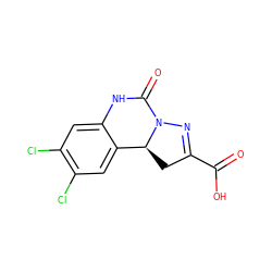 O=C(O)C1=NN2C(=O)Nc3cc(Cl)c(Cl)cc3[C@@H]2C1 ZINC000013472605