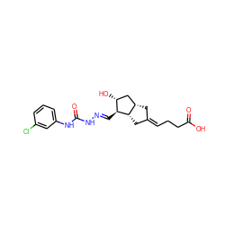 O=C(O)CC/C=C1\C[C@H]2C[C@@H](O)[C@H](/C=N/NC(=O)Nc3cccc(Cl)c3)[C@H]2C1 ZINC000026164682