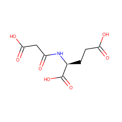 O=C(O)CC[C@H](NC(=O)CC(=O)O)C(=O)O ZINC000026385745