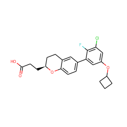 O=C(O)CC[C@H]1CCc2cc(-c3cc(OC4CCC4)cc(Cl)c3F)ccc2O1 ZINC001772645495