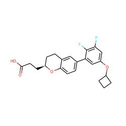 O=C(O)CC[C@H]1CCc2cc(-c3cc(OC4CCC4)cc(F)c3F)ccc2O1 ZINC001772627131