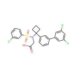 O=C(O)CN(C1(c2cccc(-c3cc(Cl)cc(Cl)c3)c2)CCC1)S(=O)(=O)c1cccc(Cl)c1 ZINC000118583710