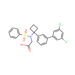 O=C(O)CN(C1(c2cccc(-c3cc(Cl)cc(Cl)c3)c2)CCC1)S(=O)(=O)c1ccccc1 ZINC000118577962