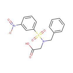 O=C(O)CN(Cc1ccccc1)S(=O)(=O)c1cccc([N+](=O)[O-])c1 ZINC000013840161