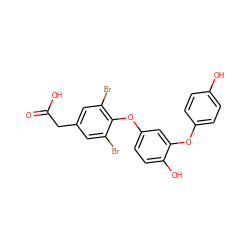 O=C(O)Cc1cc(Br)c(Oc2ccc(O)c(Oc3ccc(O)cc3)c2)c(Br)c1 ZINC000014969306