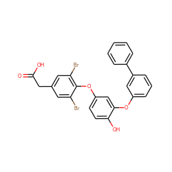 O=C(O)Cc1cc(Br)c(Oc2ccc(O)c(Oc3cccc(-c4ccccc4)c3)c2)c(Br)c1 ZINC000014969295