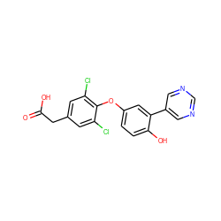 O=C(O)Cc1cc(Cl)c(Oc2ccc(O)c(-c3cncnc3)c2)c(Cl)c1 ZINC000014969271