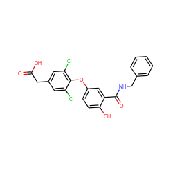 O=C(O)Cc1cc(Cl)c(Oc2ccc(O)c(C(=O)NCc3ccccc3)c2)c(Cl)c1 ZINC000028973605