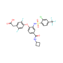 O=C(O)Cc1cc(F)c(Oc2ccc(C(=O)NC3CCC3)cc2NS(=O)(=O)c2ccc(C(F)(F)F)cc2Cl)cc1F ZINC000073258506