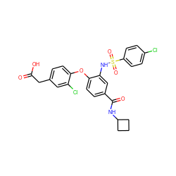 O=C(O)Cc1ccc(Oc2ccc(C(=O)NC3CCC3)cc2NS(=O)(=O)c2ccc(Cl)cc2)c(Cl)c1 ZINC000073275505