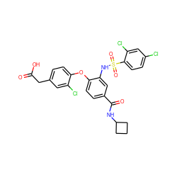 O=C(O)Cc1ccc(Oc2ccc(C(=O)NC3CCC3)cc2NS(=O)(=O)c2ccc(Cl)cc2Cl)c(Cl)c1 ZINC000073258503